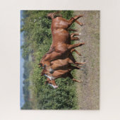 Puzzle Bob Langrish | Trois Chevaux arabes châtaigniers e (Vertical)