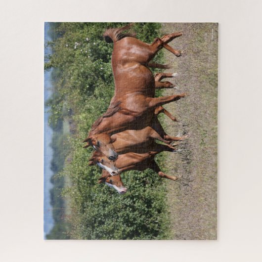 Puzzle Bob Langrish | Trois Chevaux arabes châtaigniers e (Vertical)
