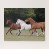 Puzzle Bob Langrish | Trois Chevaux Arabes Courant Ensemb (Horizontal)