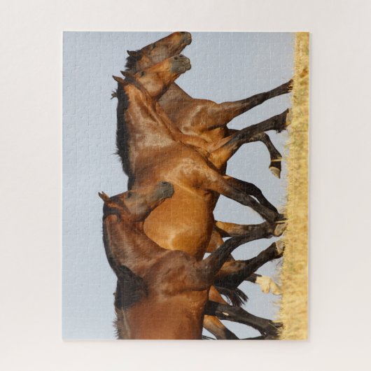 Puzzle Bob Langrish | Trois Mares andalouses en course (Vertical)