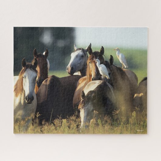 Puzzle Bob Langrish | Troupeau De Chevaux Se Tenant Avec  (Horizontal)