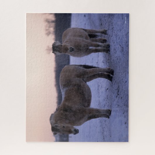 Puzzle Bob Langrish | Two Fjord Horses Standing In Snow (Vertical)