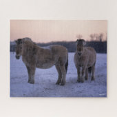 Puzzle Bob Langrish | Two Fjord Horses Standing In Snow (Horizontal)