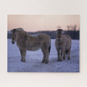 Puzzle Bob Langrish Two Fjord Horses Standing In Snow