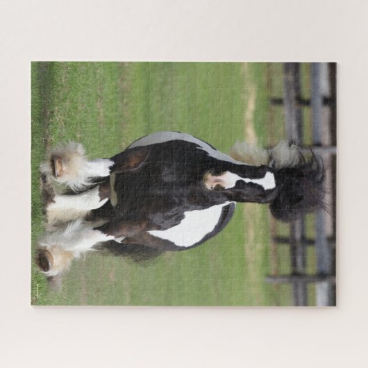 Puzzle Bob Langrish | Vannière Tzigane en cours d'exécuti (Horizontal)