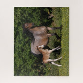 Puzzle Bob Langrish | Welsh Pony Mare and Foal Running (Vertical)