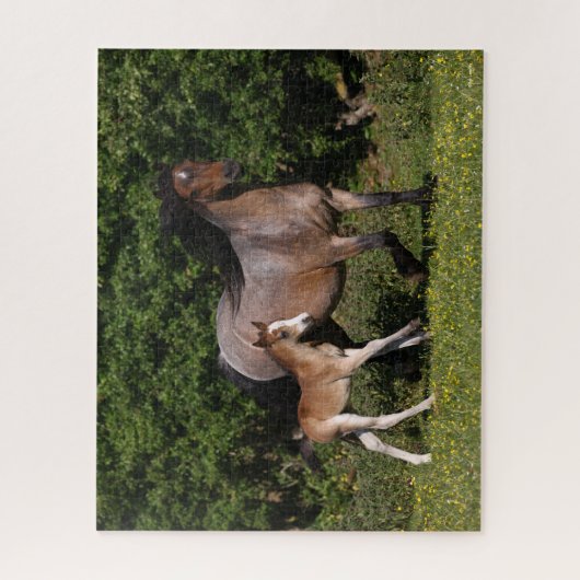 Puzzle Bob Langrish | Welsh Pony Mare and Foal Running (Vertical)