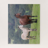 Puzzle Bob Langrish | Welsh Pony Mare and Foie Standing (Vertical)