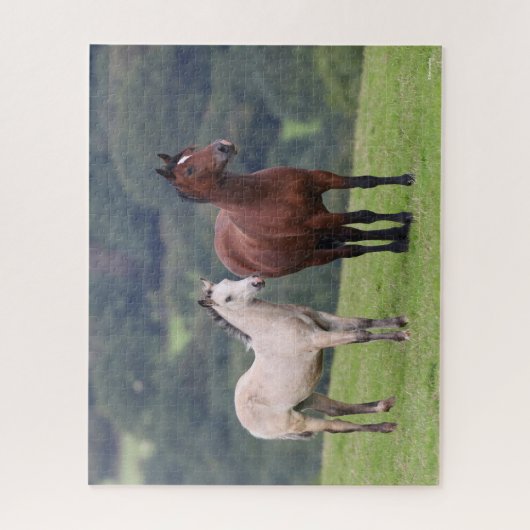 Puzzle Bob Langrish | Welsh Pony Mare and Foie Standing (Vertical)