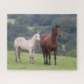 Puzzle Bob Langrish | Welsh Pony Mare and Foie Standing (Horizontal)