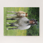Puzzle Bob Langrish | Welsh Pony Mare and Foie Standing (Horizontal)