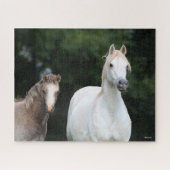Puzzle Bob Langrish | Welsh Pony Mare et Foie (Horizontal)