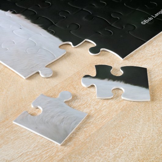 Puzzle Bob Langrish | Welsh Pony Mare et Foie (Côté)