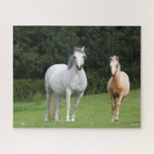 Puzzle Bob Langrish | Welsh Pony Mare et Foie (Horizontal)