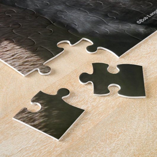 Puzzle Bob Langrish | Welsh Pony Mare et Foie Headshot (Côté)