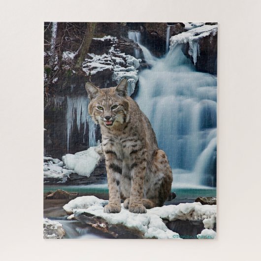 Puzzle "Bobcat Falls" (Vertical)