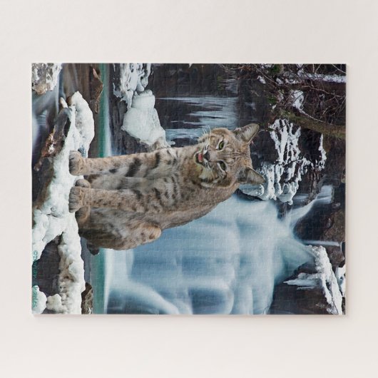 Puzzle "Bobcat Falls" (Horizontal)