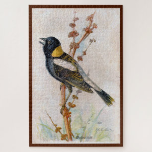 Puzzle Bobolink Large Bird