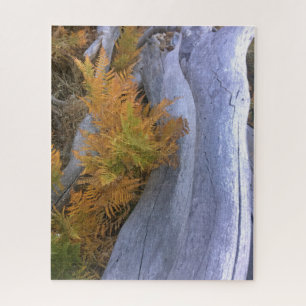 Puzzle Bois d'automne