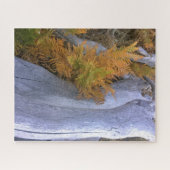 Puzzle Bois d'automne (Horizontal)