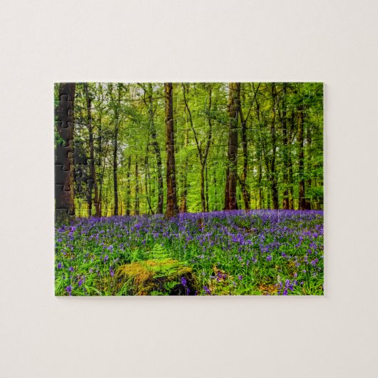 Puzzle Bois de jacinthe des bois (Horizontal)