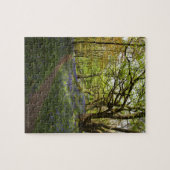 Puzzle Bois de jacinthe des bois de ressort (Horizontal)