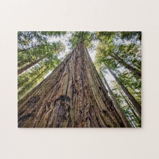 Puzzle Bois de Roosevelt (Horizontal)