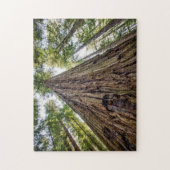 Puzzle Bois de Roosevelt (Vertical)