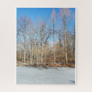 Puzzle Bois d'hiver avec neige le jour ensoleillé