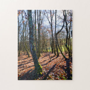 Puzzle Bois d'hiver en France