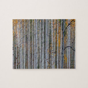 Puzzle Boissons blanches Forêt Pays Nature