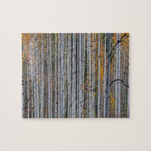 Puzzle Boissons blanches Forêt Pays Nature (Horizontal)