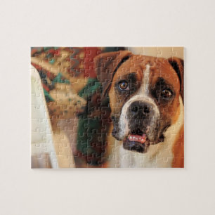 Puzzle Boîteux Boxer mignon