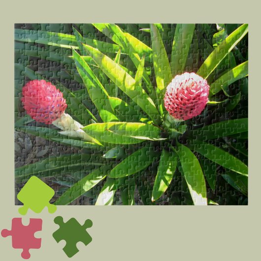 Puzzle Bok Gardens Florida Pink Tropical Bromeliad Flower