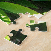 Puzzle Bok Gardens Florida Pink Tropical Bromeliad Flower (Côté)