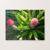 Puzzle Bok Gardens Florida Pink Tropical Bromeliad Flower (Horizontal)
