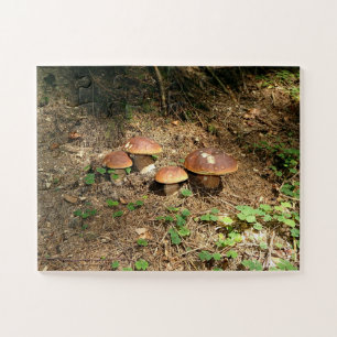 Puzzle boletus