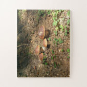 Puzzle boletus (Vertical)