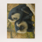 Puzzle Bond Macaque - Rituel Grooming (Vertical)