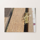 Puzzle Bonjour M. Grasshopper ! (Horizontal)