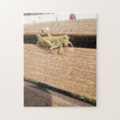 Puzzle Bonjour M. Grasshopper ! (Vertical)
