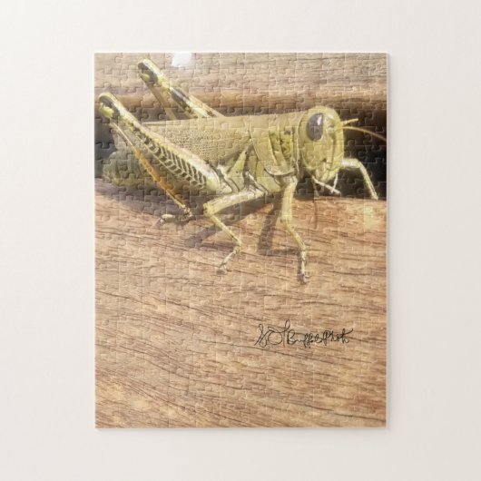 Puzzle Bonjour M. Grasshopper ! (Vertical)
