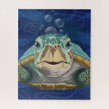 Bonjour Tortue
