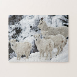 Puzzle Bonne famille de moutons