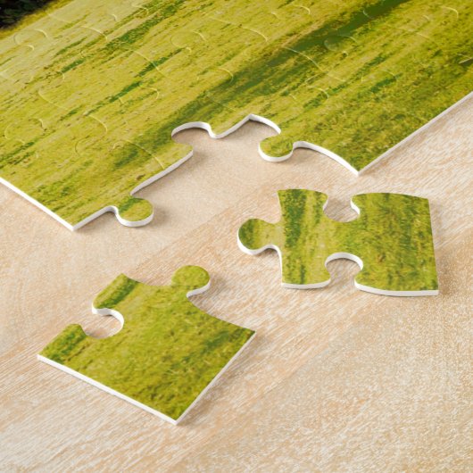 Puzzle Bonsaïs par l'eau (Côté)