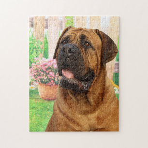 Puzzle Bordeaux Mastiff