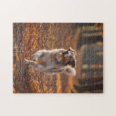 Puzzle Border Collie dans la forêt (Horizontal)
