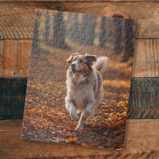 Puzzle Border Collie dans la forêt