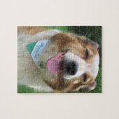 Puzzle border collie mix (Horizontal)