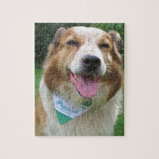 Puzzle border collie mix (Vertical)
